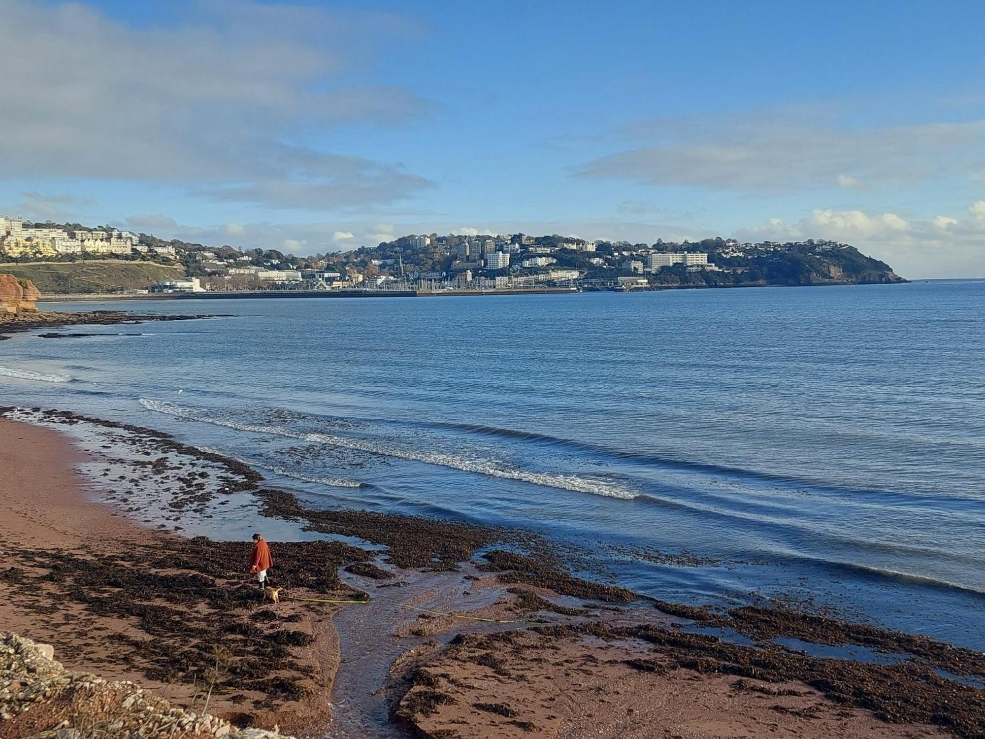 The Seaview Suites At The Corbyn Apartments Torquay Habitación foto